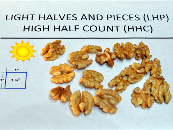 Fillmore Farms Size Chart Raw Shelled Organic Walnuts Halves and Pieces Ambient Air-dried